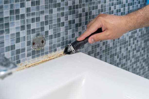 Best Insurance-Related Mold Remediation in North Bellport, NY